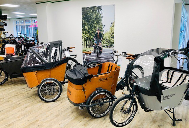 e-fahrrad in raum bad kissingen kaufen