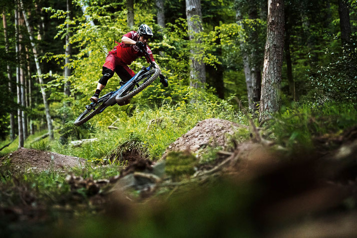 Der Bosch Performance CX Antrieb