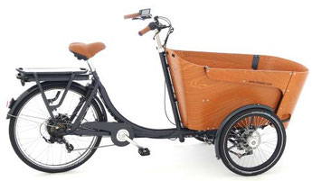 Babboe Lastenfahrrad mit Elektromotor Carve-E 2020