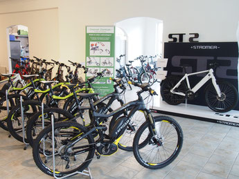E Bike Leasing Experte In Frankfurt Bis 40 Sparen E Motion E Bike Experten