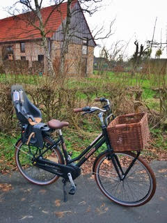 Family e-Bike in Hamm