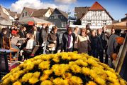 e-Bikes, Pedelecs und Speed Pedelecs erleben, Probefahren und kaufen auf dem Herdecker Herbstfest im September