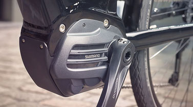 Die Shimano Nexus Inter 5E Nabenschaltung hat eine Übersetzungsbandbreite von 263%
