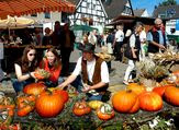 e-Bikes, Pedelecs und Speed Pedelecs erleben, Probefahren und kaufen auf dem Herdecker Herbstfest im September