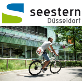 initiative seestern