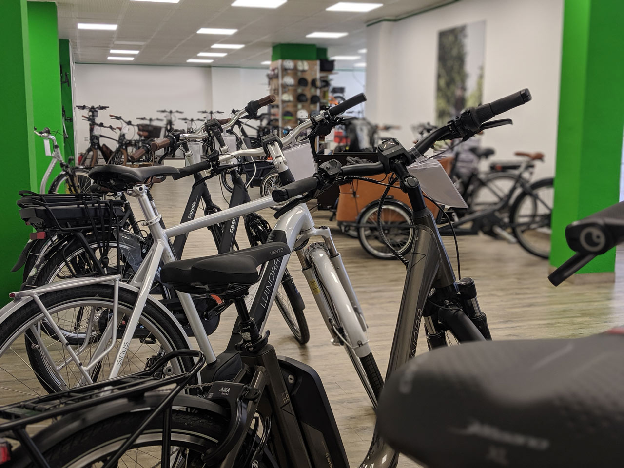 e-fahrrad in raum bad kissingen kaufen