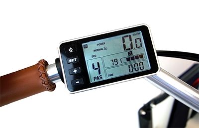 Babboe Dog-E Lastenfahrrad 2020 mit intuitives Display
