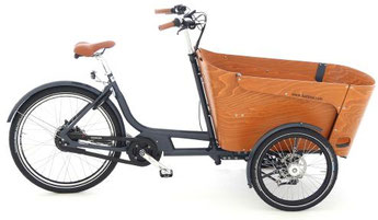 Babboe Lastenfahrrad mit Elektromotor Carve Mountain 2017