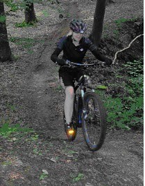 Haibike eq ebike test im Wald