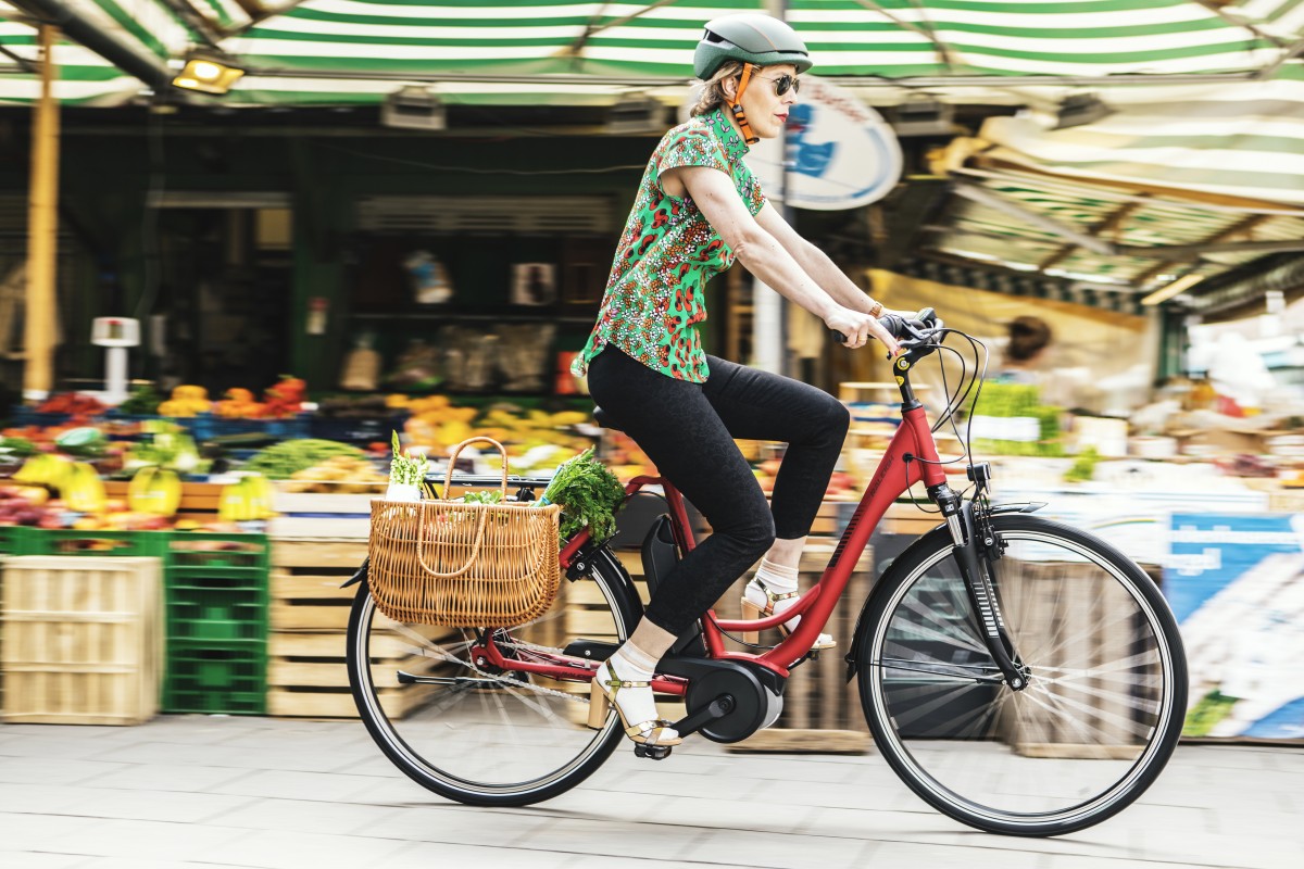 raleigh jersey ebike