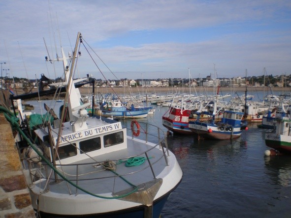 Le vieux port 