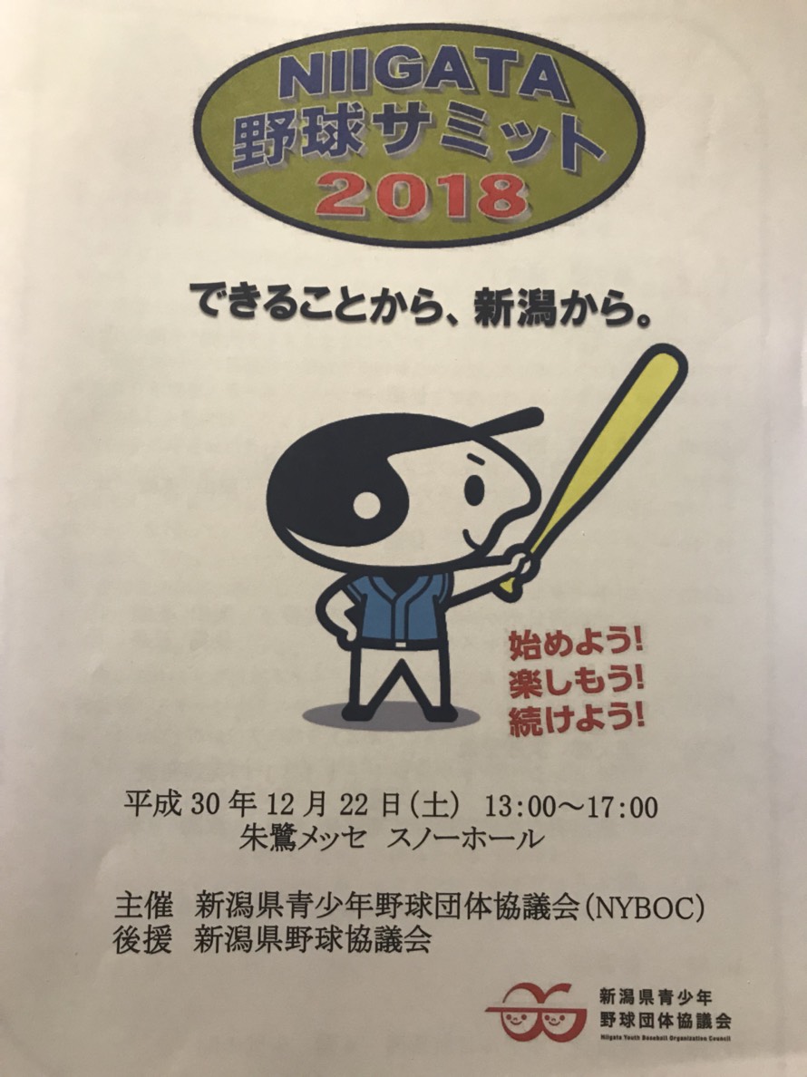 青少年 niigata野球サミット2018 新潟県野球協議会 青少年 niigata野球サミット2018 新潟県野球協議会