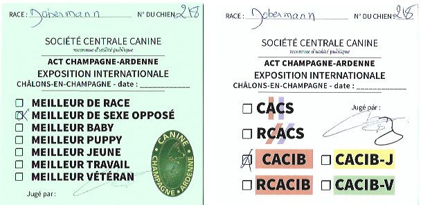 Cartons qualificatifs