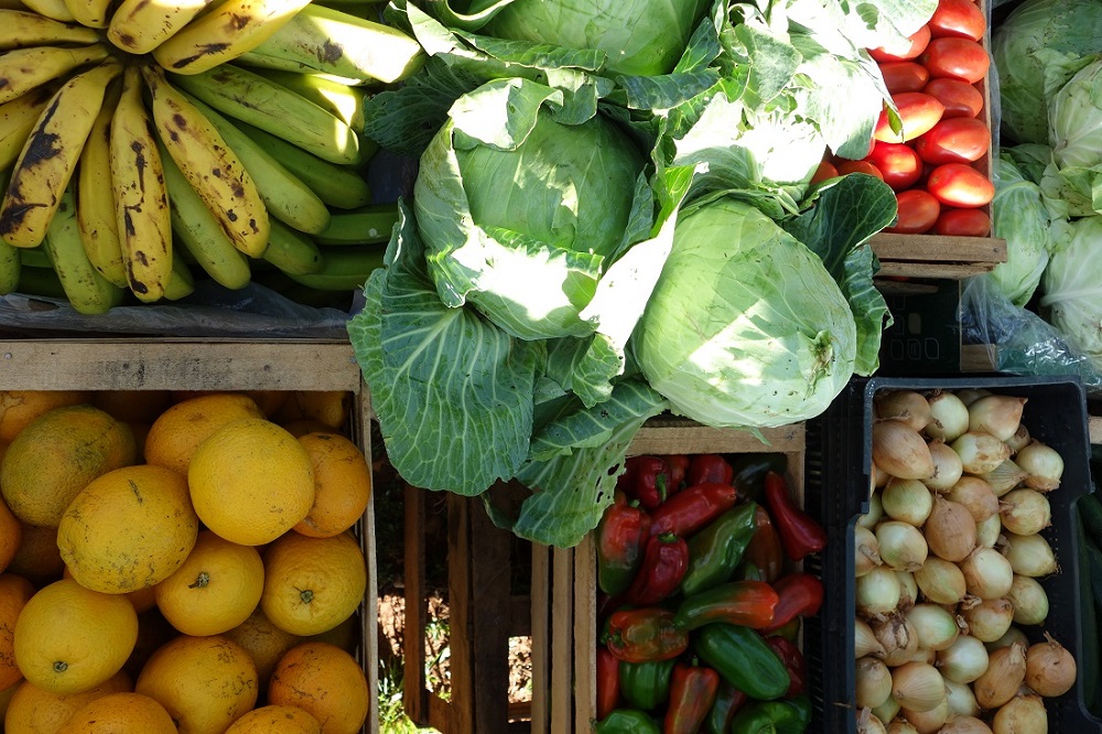 蔬菜・果物が販売の主流になっている。