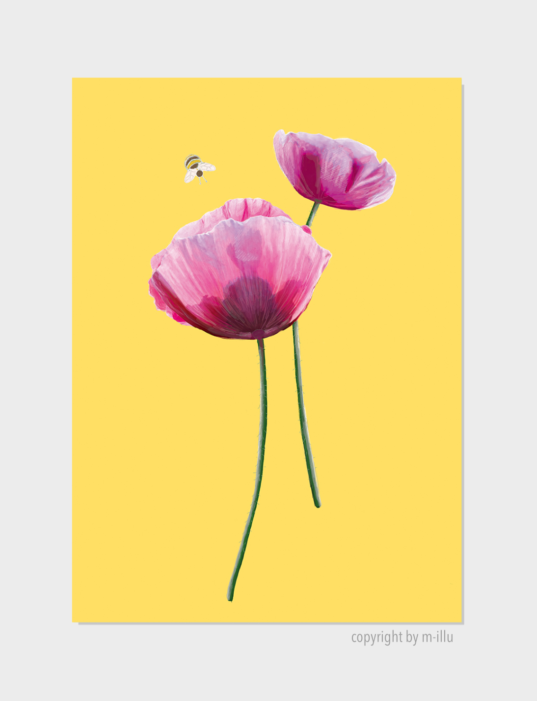 Rosa Mohn