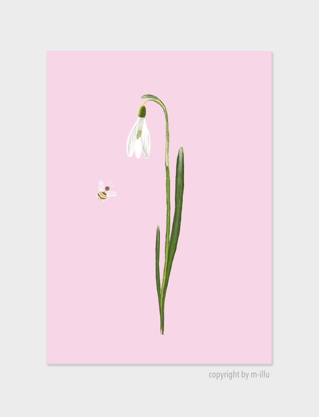 Schneeglöckchen-snowdrop