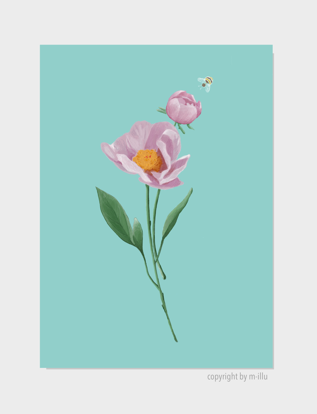 Pfingstrose-Peony