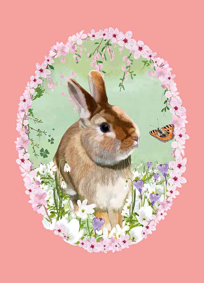 Hase und Schmetterling