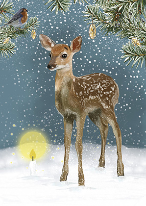 Reh Winter