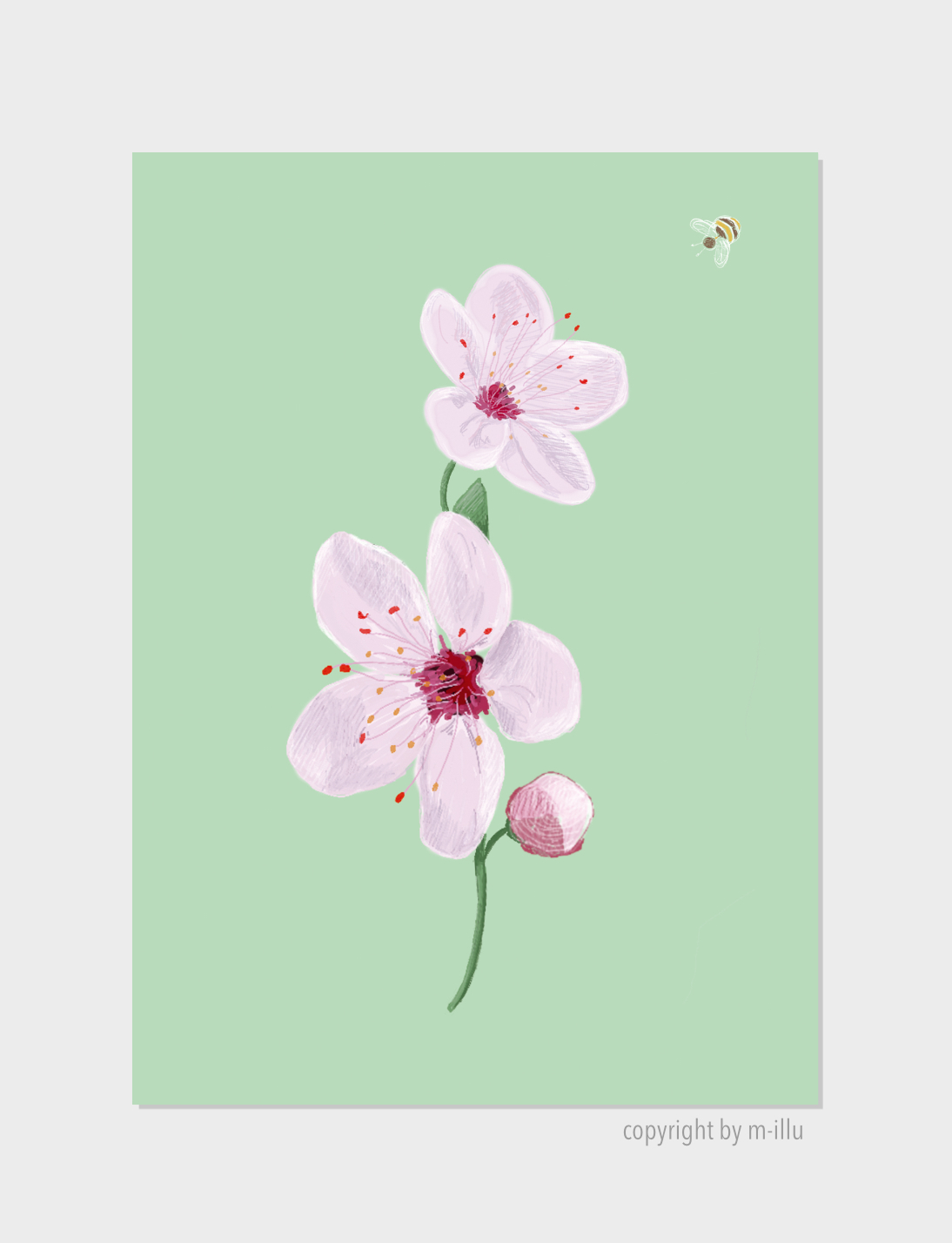 Kirsche-cherry