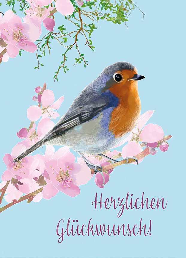 Rotkehlchen Frühling