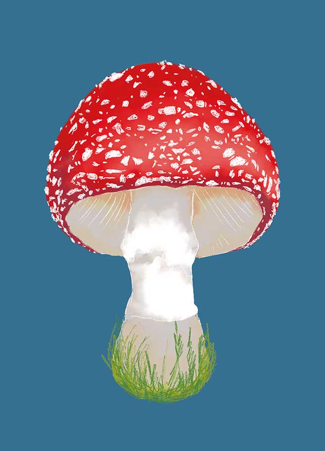 Pilz Glück blau