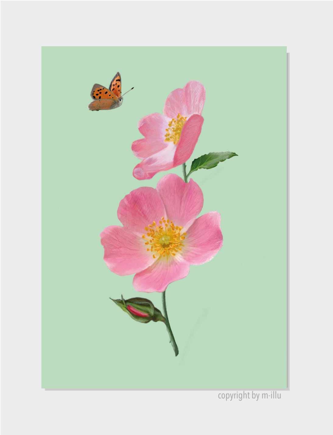 Wildrose