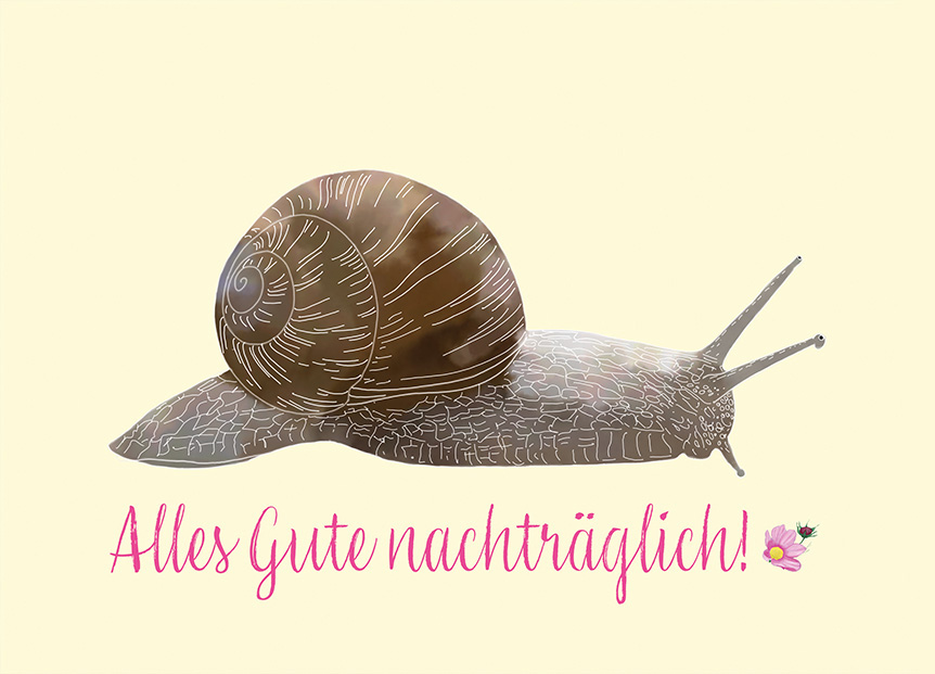 Schnecke