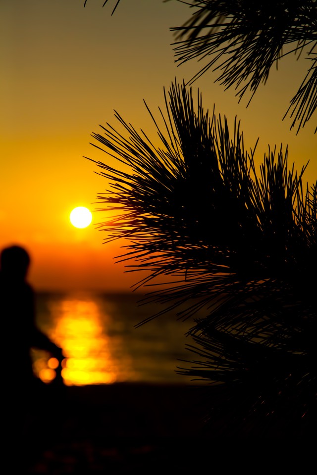 夕日