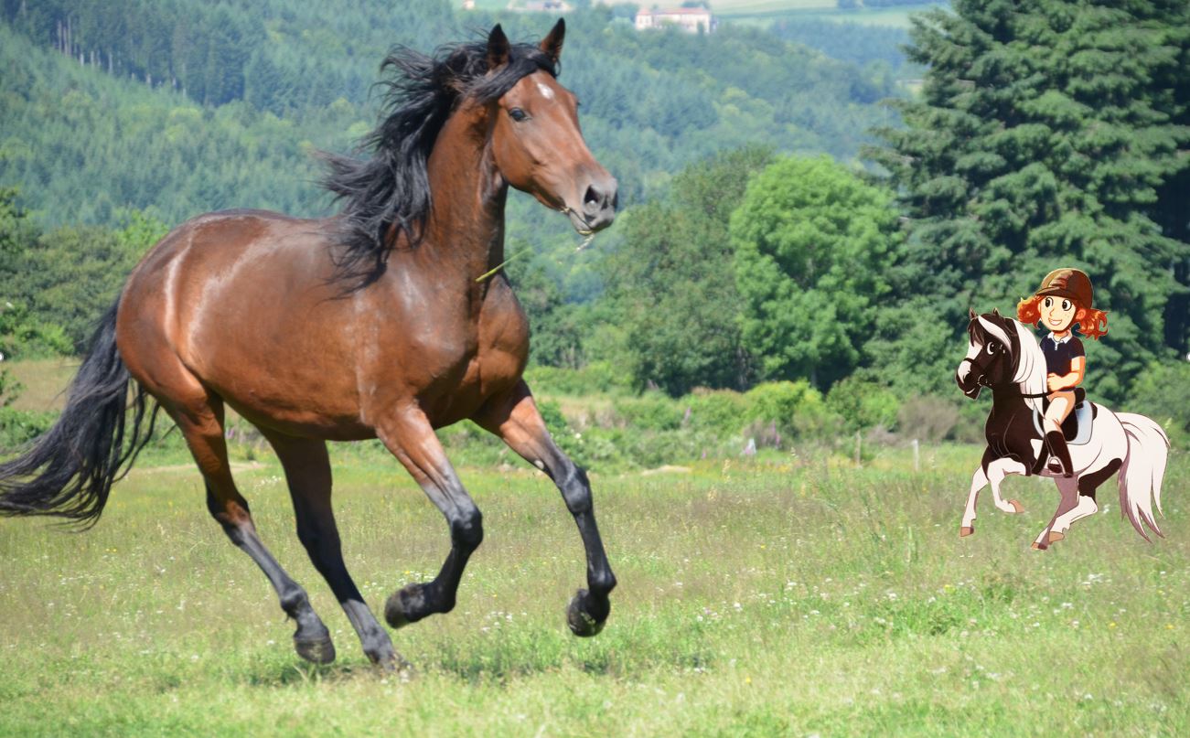 Poney club de Cenves