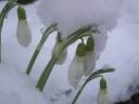 Feb.2004, Schwieberdingen Kamera: Pentax Optio S