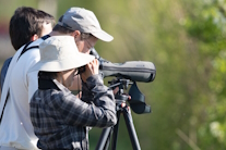 18.4.2019 Eich Altrhein Kamera: Canon 5D4 / 500f4 x 2.0