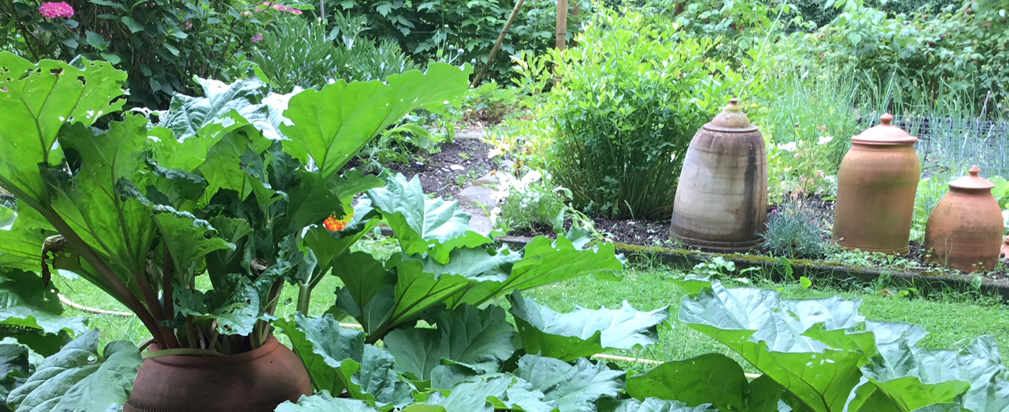 Was braucht man zum Urban Gardening ? Schachtel gefüllt mit Seedballs und einer kleinen Stecklingsschere auf einem alten Gartenstuhl