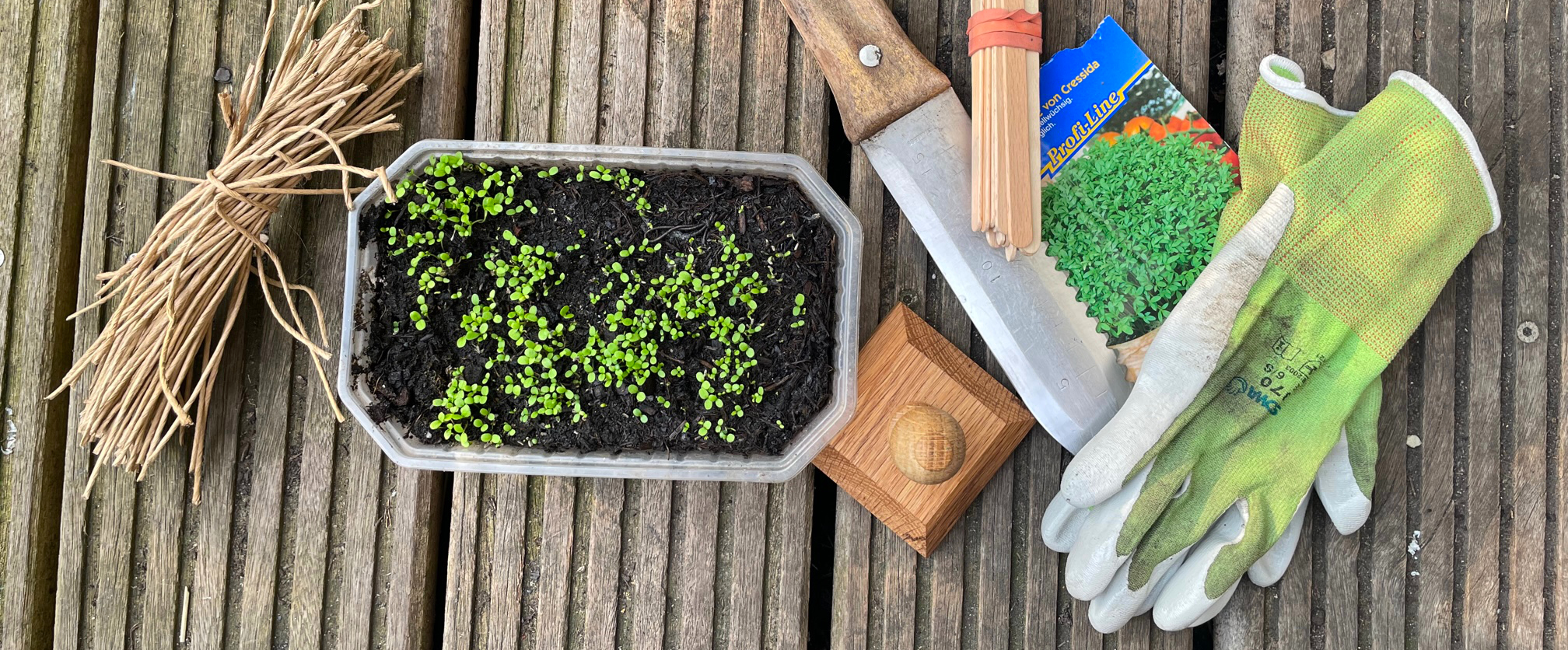 Was braucht man zum Urban Gardening ? Schachtel gefüllt mit Seedballs und einer kleinen Stecklingsschere auf einem alten Gartenstuhl