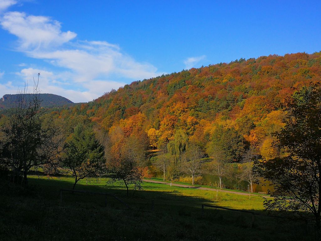 Silzer See