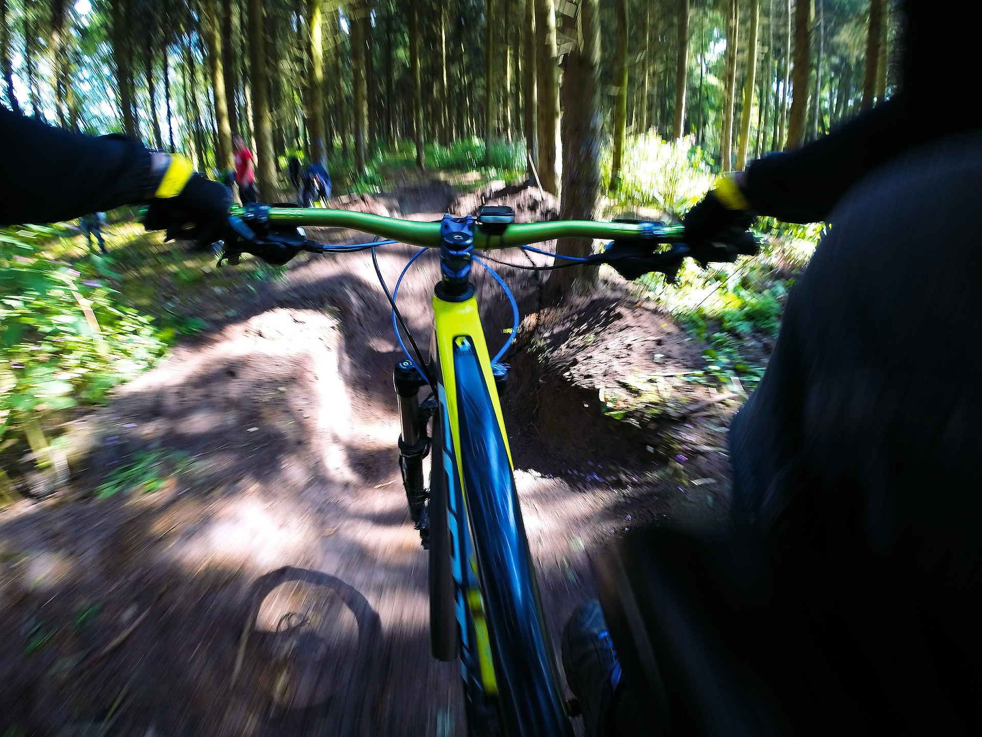Mountainbiken im Pfälzerwald