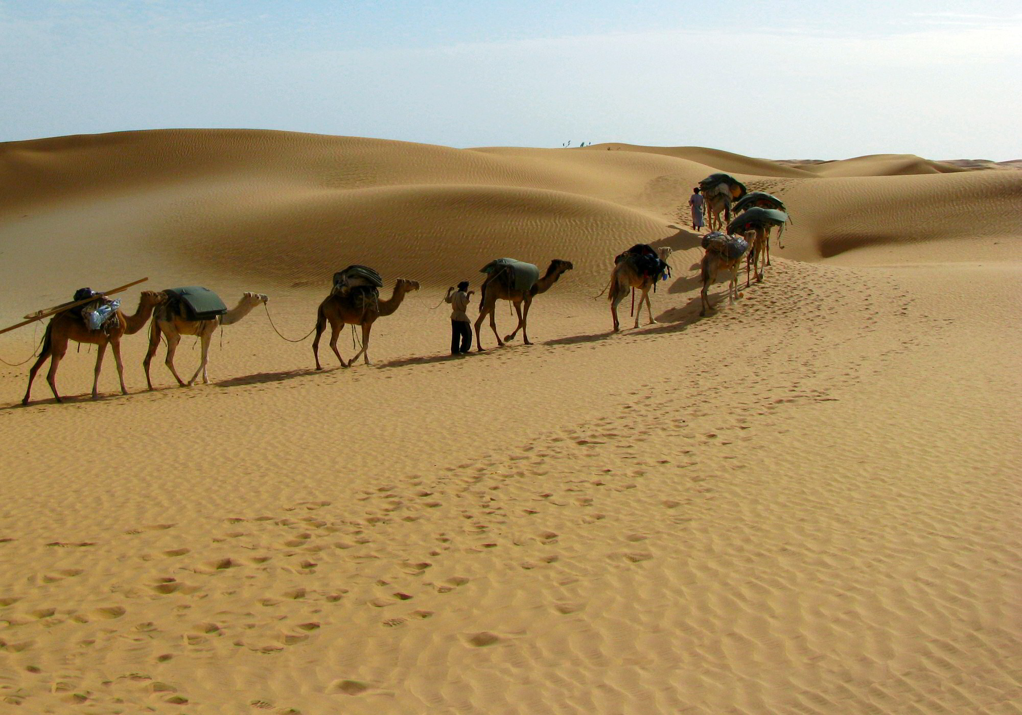 Citations Celebres A Propos Du Desert Atar Voyages