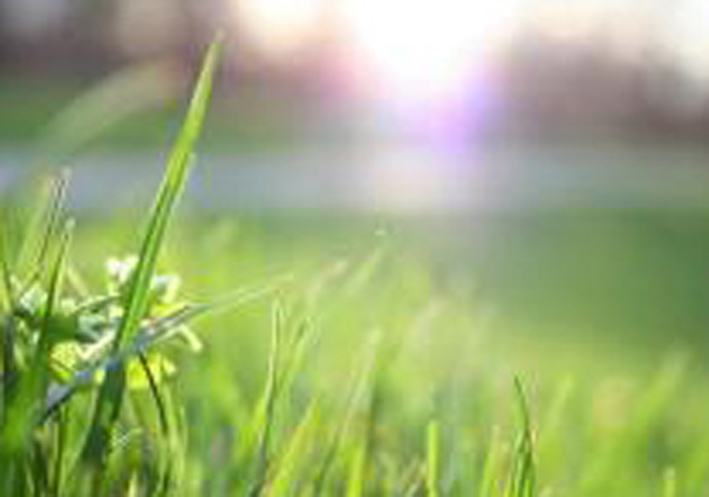 Trosdorf Grundstück zu verkaufen - Makler Bamberg ...