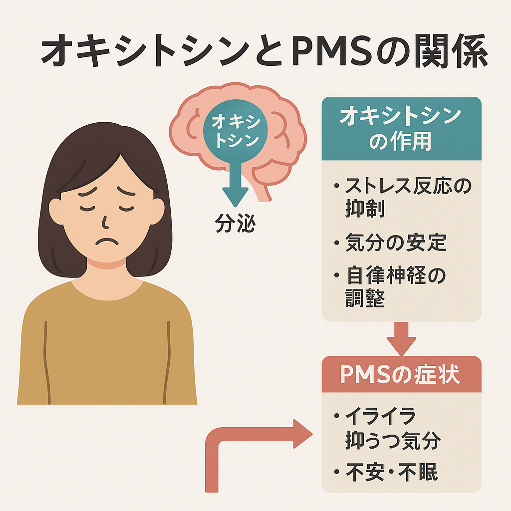 オキシトシンとPMSの関係 ―“幸せホルモン”がもたらす自律神経への作用