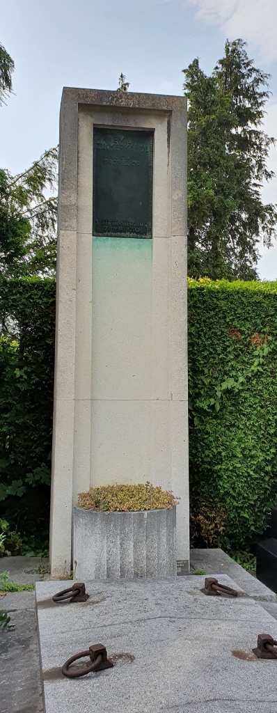 Ehrengrab von Emil Zuckerkandl am Döblinger Friedhof