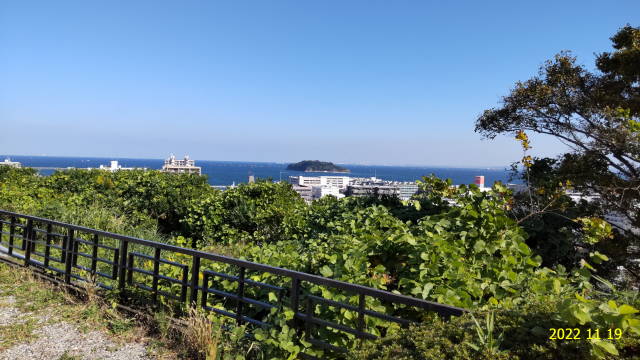 中央公園の風景