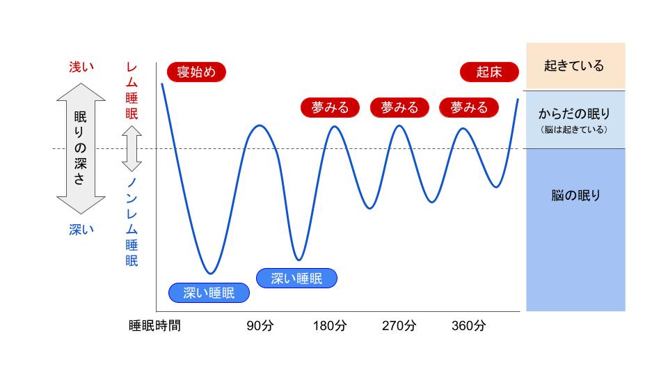 睡眠周期
