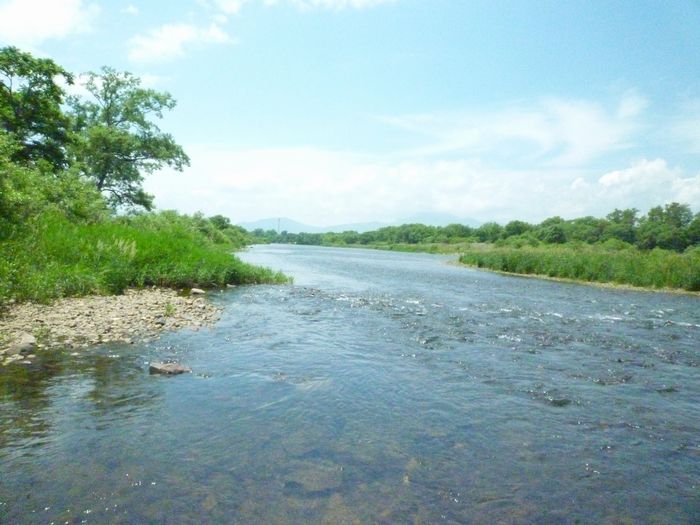 水石 静岡 天竜川 水石 静岡 天竜川