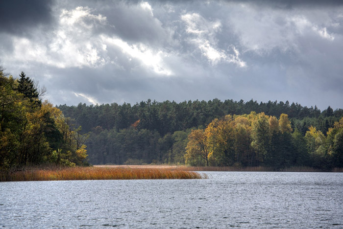Müritz