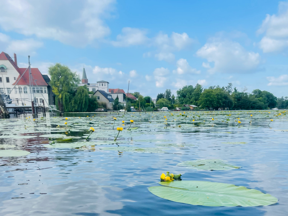 SUP-Tour auf der Havel in Brandenburg