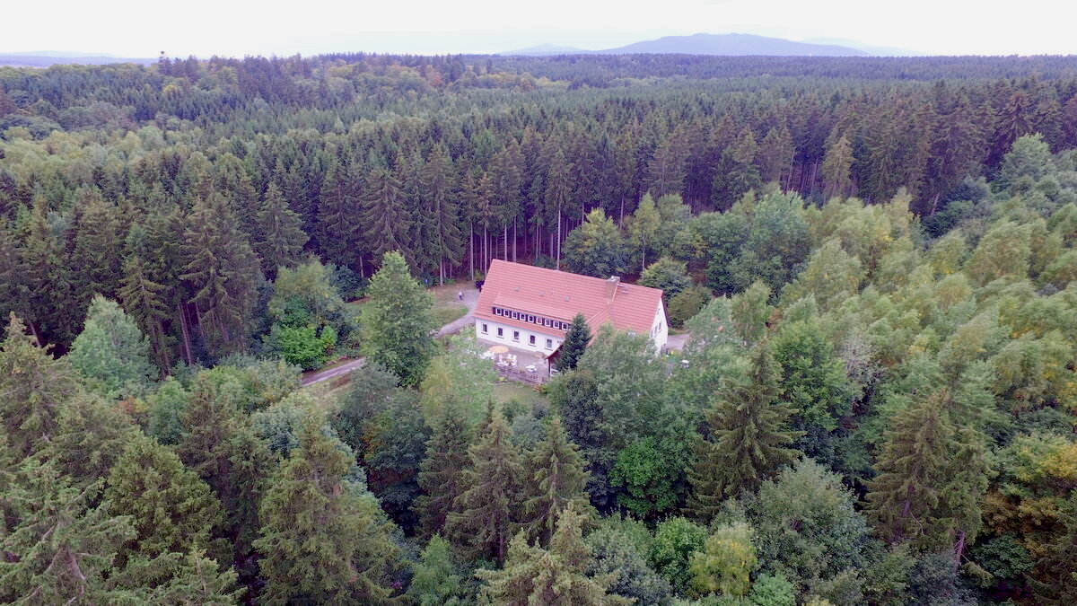 Villa Viriditas im Harzer Wald