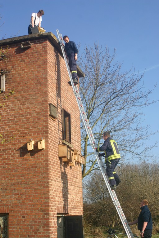 Anbringen des Turmfalkenkastens am Trafoturm - in Zusammenarbeit mit der Freiwilligen Feuerwehr Brakel