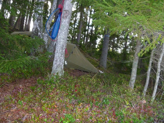 Glaskogen Nationalpark - Schweden