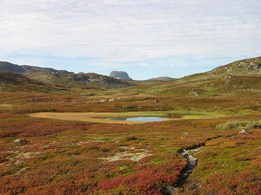 Wildnis Hardangervidda