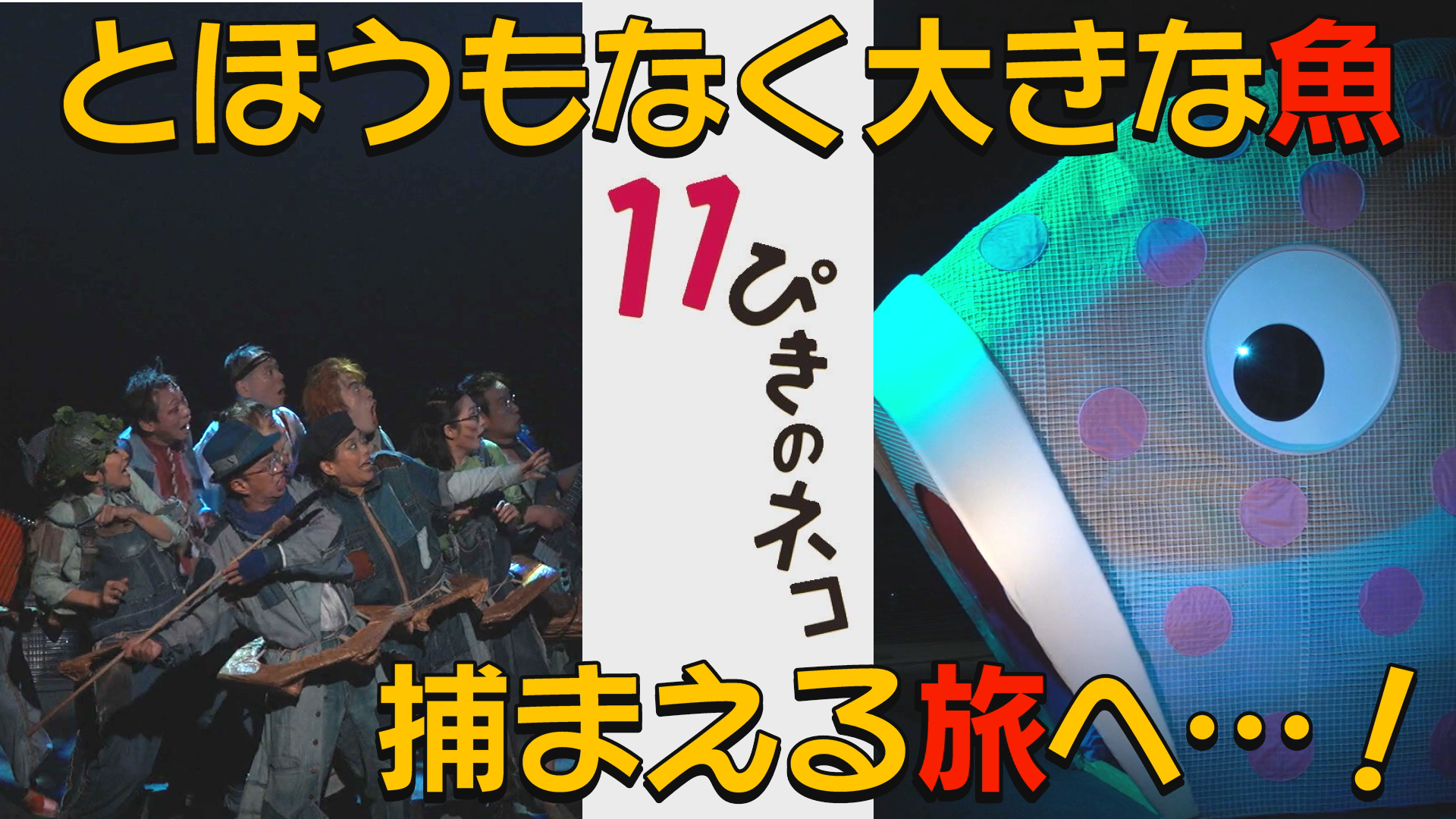 【演劇PR】伝説のミュージカルコメディ「１１ぴきのネコ　エコー版」